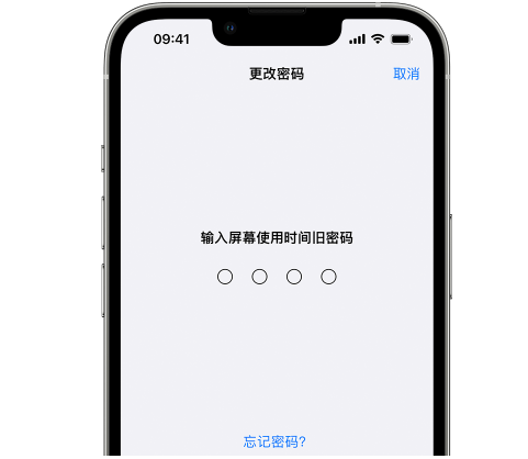 定远iPhone屏幕维修分享iPhone屏幕使用时间密码忘记了怎么办 