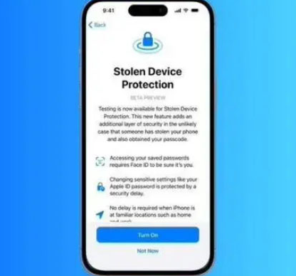 定远苹果授权维修店分享被盗设备保护功能开启方法 