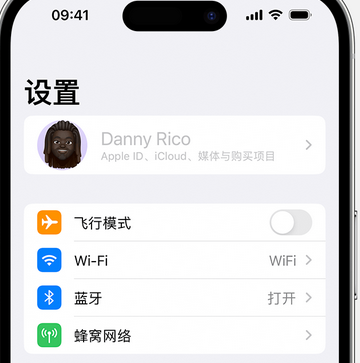 定远appleID维修服务iPhone设置中Apple ID显示为灰色无法使用 