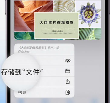 定远apple维修中心分享iPhone文件应用中存储和找到下载文件