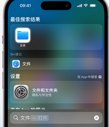 定远apple维修中心分享iPhone文件应用中存储和找到下载文件 