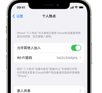 定远apple服务站点分享iPhone上个人热点丢失了怎么办