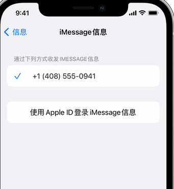 定远apple维修iPhone上无法正常发送iMessage信息 