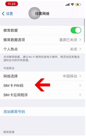 定远苹果14维修网分享如何给iPhone14的SIM卡设置密码 