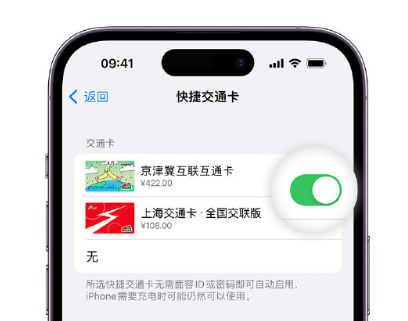 定远apple维修点分享iPhone上更换Apple Pay快捷交通卡手绘卡面 