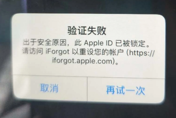 定远iPhone维修分享iPhone上正常登录或使用AppleID怎么办 