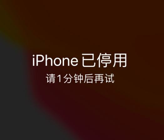 定远苹果手机维修分享:iPhone 显示“不可用”或“已停用”怎么办？还能保留数据吗？ 