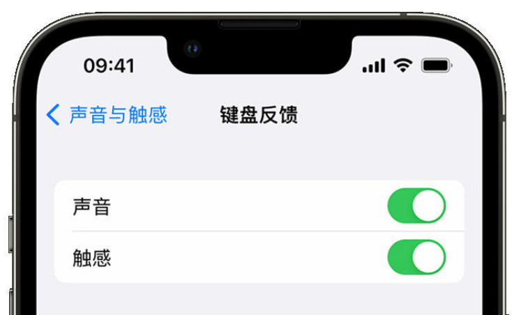 定远苹果手机维修分享iPhone 14触感键盘使用方法 