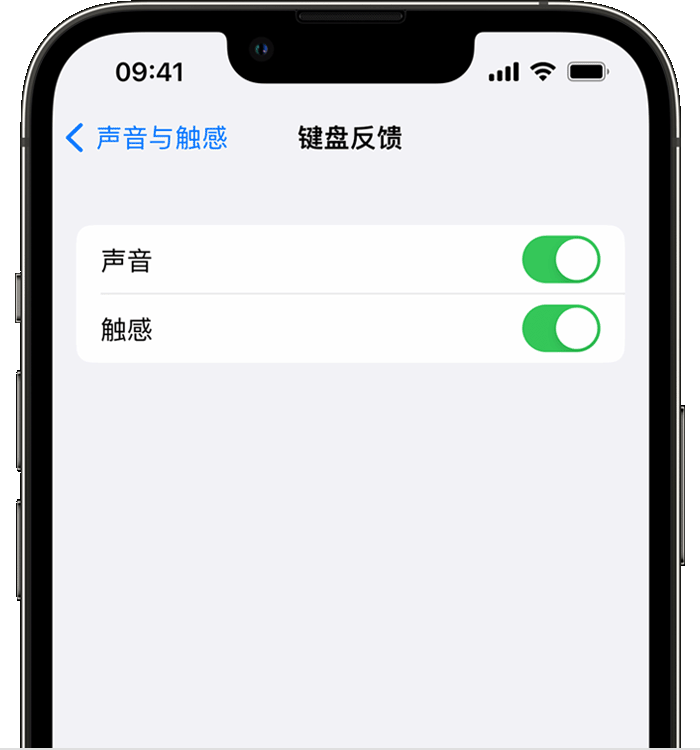 定远苹果14维修店分享如何在 iPhone 14 机型中使用触感键盘 