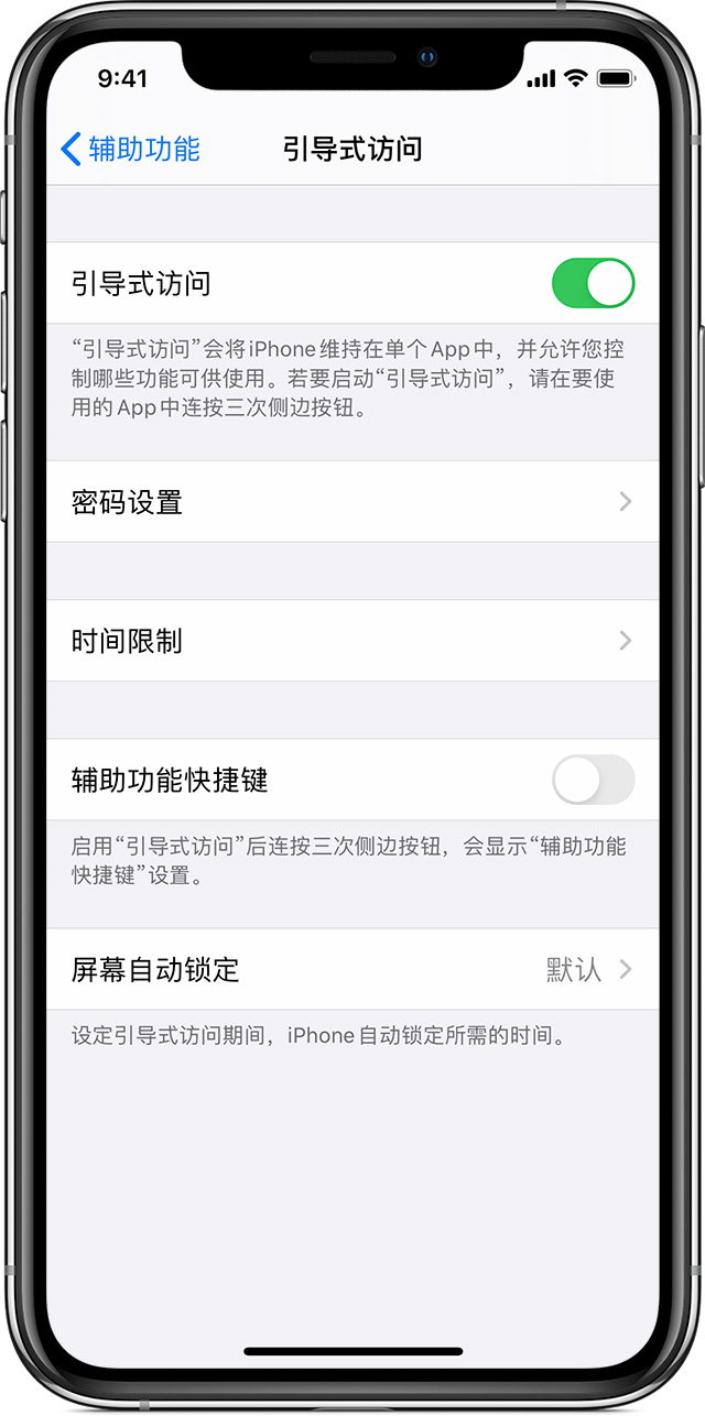 定远苹果手机维修分享如何在 iPhone 上退出引导式访问 