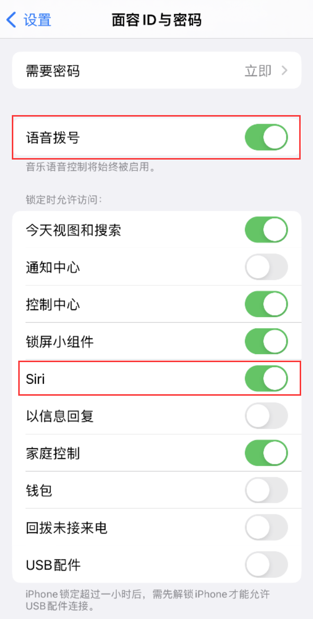 定远苹果维修网点分享不解锁 iPhone 的情况下通过 Siri 拨打电话的方法 