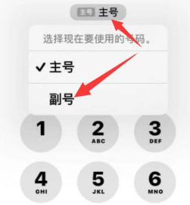 定远苹果14维修店分享iPhone 14 Pro Max使用副卡打电话的方法 