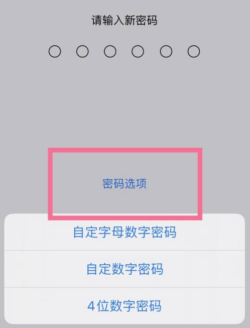 定远苹果14维修分享iPhone 14plus设置密码的方法 