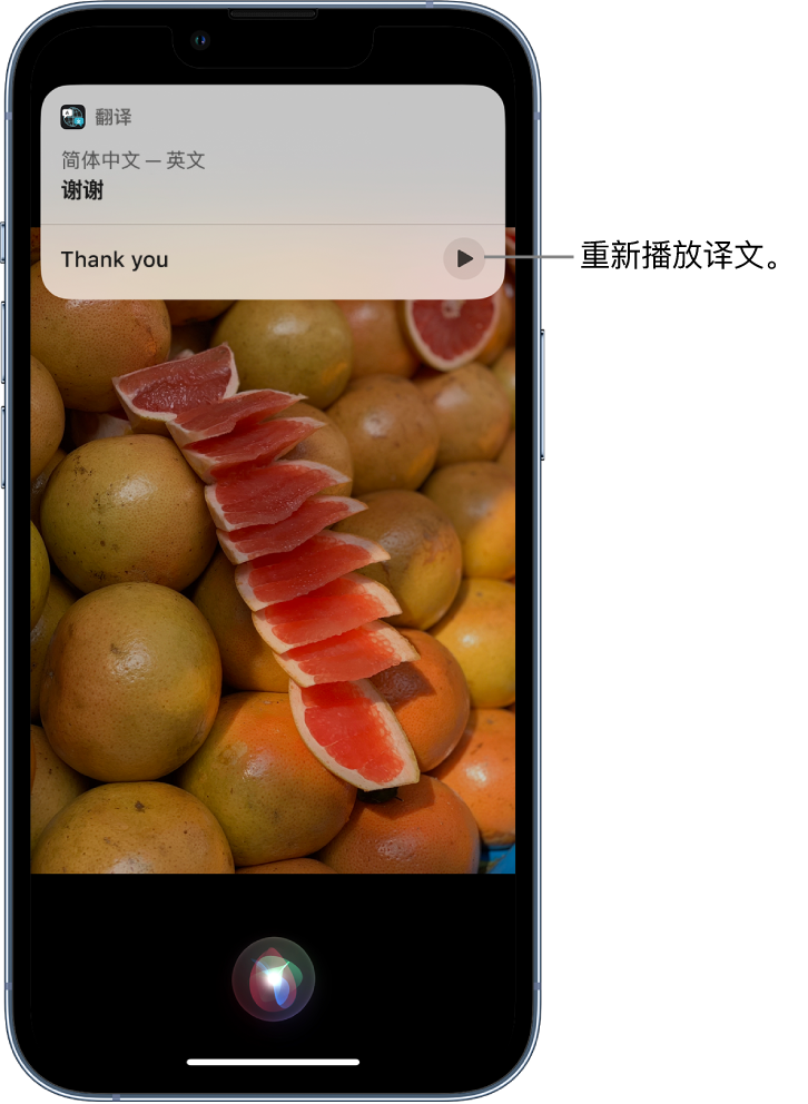 定远苹果14维修分享 iPhone 14 机型中使用 Siri：了解 Siri 能帮你做什么 