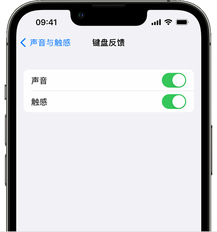 定远苹果14维修分享iPhone 14 系列机型如何开启键盘声音或触感反馈 