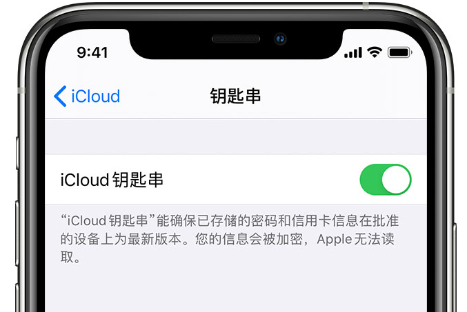 定远苹果手机维修分享在 iPhone 上开启 iCloud 钥匙串之后会储存哪些信息 