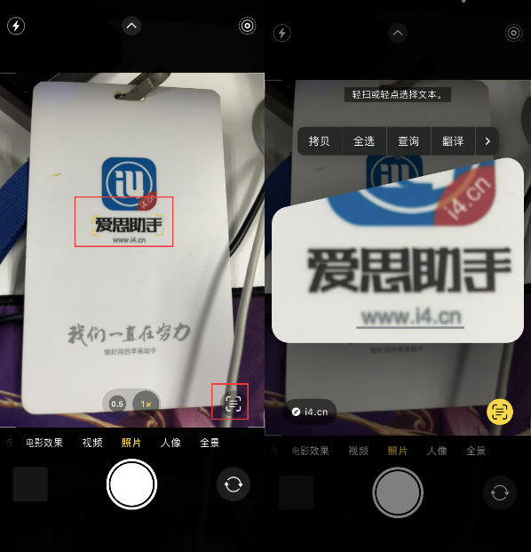 定远苹果手机维修分享升级iOS 16后如何通过相机翻译文本 