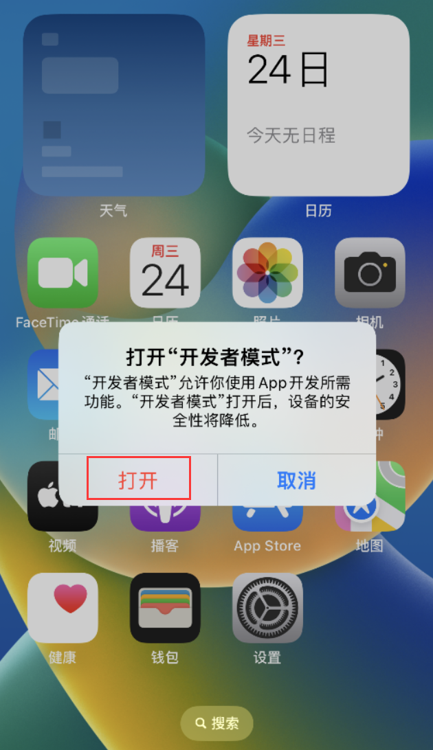 定远苹果手机维修分享如何打开开发者模式 