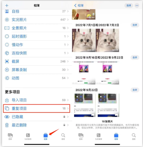 定远苹果手机维修分享iOS 16 中相册重复项目功能使用方法 