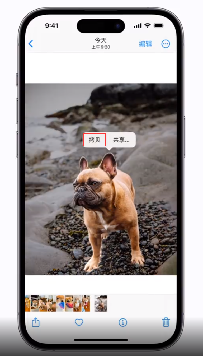 定远苹果手机维修分享 iOS 16 自带一键抠图功能 