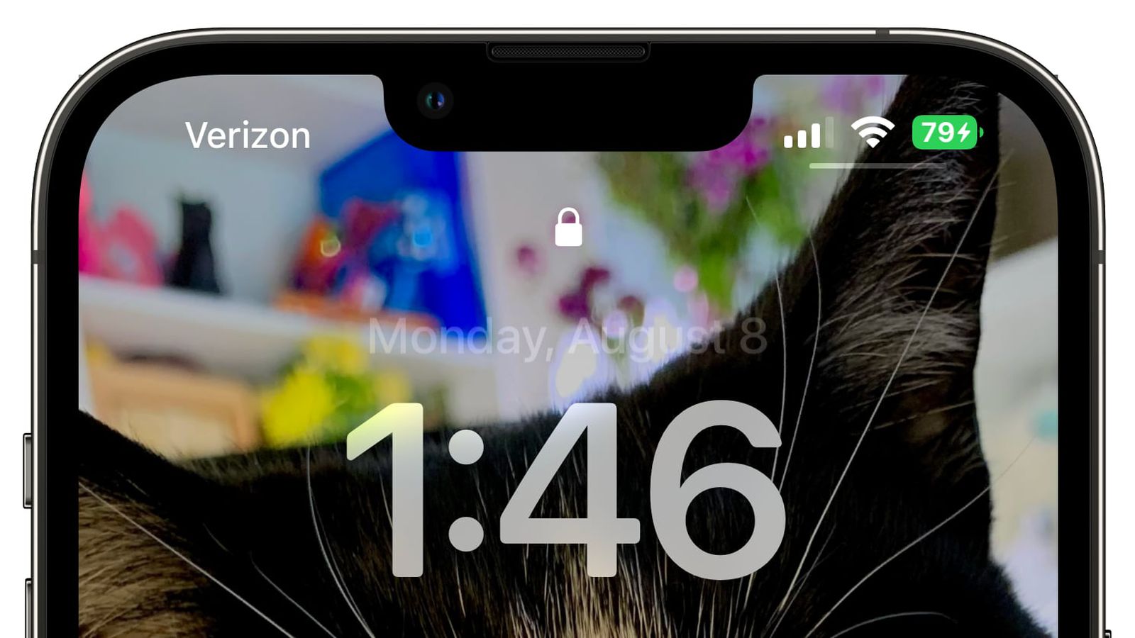 定远苹果手机维修分享iOS 16 beta 5 支持状态栏显示电池百分比，如何开启？支持哪些机型 