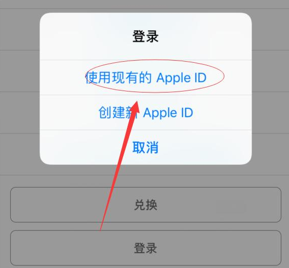 定远苹果手机维修分享两台iPhone设备可以同时登录一个Apple ID吗 