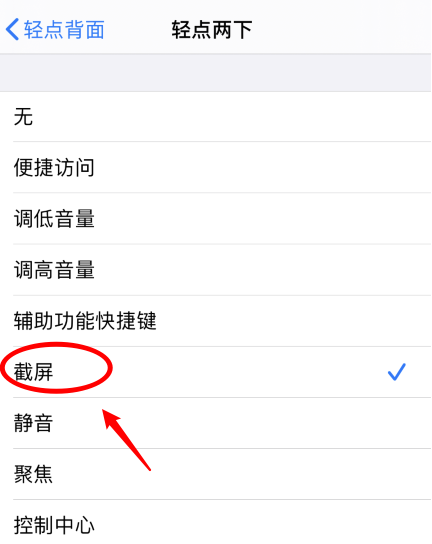 定远苹果手机维修分享iPhone12如何启用双击截屏 