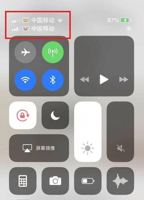 定远苹果手机维修分享为 iPhone 12 双卡设置标签 