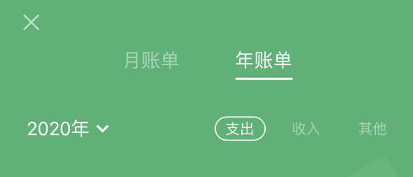 定远苹果手机维修分享如何在 iPhone 上查看支付宝和微信年支出账单 