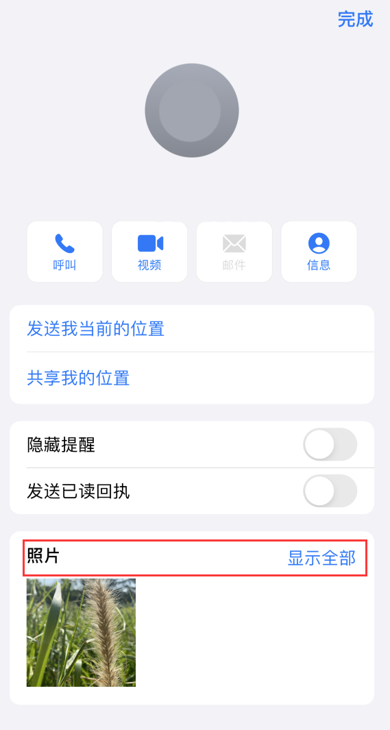 定远苹果手机维修分享如何快速查找 iMessage 信息中的图片等附件 