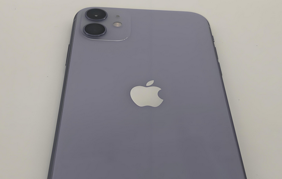 定远苹果11系统维修分享iPhone11手机系统崩溃无法开机如何解决 